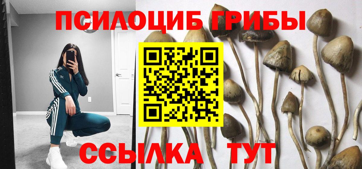Псилоцибиновые грибы MAGIC MUSHROOMS Новосибирск