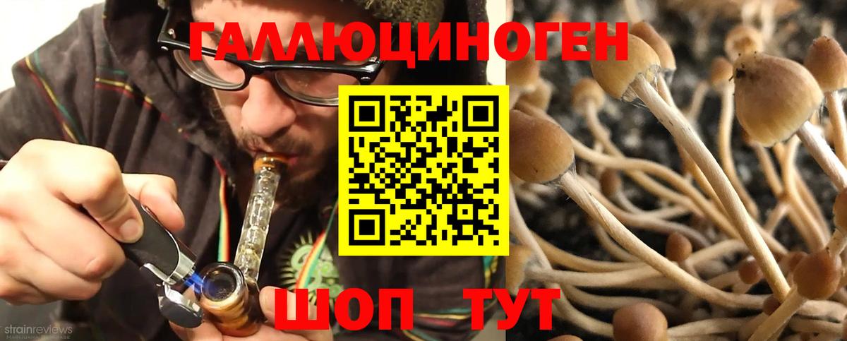 Новосибирск  купить закладку  Вход с VPN  Галлюциногенные грибы Magic Shrooms  Псилоцибиновые грибы мицелий 